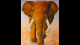 Oil painting wildlife animals