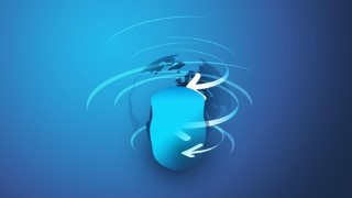 Oracle Apps Accounts Payable (AP) Training