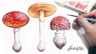 Paint Realistic Watercolor and Botanicals - TOADSTOOLS