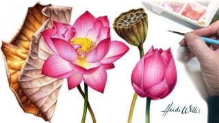 Paint Realistic Watercolour and Botanicals - LOTUS