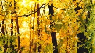 Painting Wild Places with Watercolors: Autumn Trees