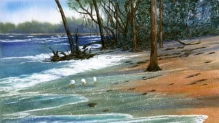 Painting Wild Places with Watercolors: Cayo Costa