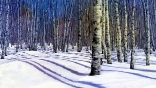 Painting Wild Places with Watercolors: Winter Birches