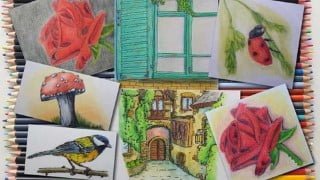 Painting with colored pencils
