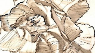 Pen & Ink Drawing for Beginners