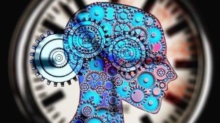 Philosophy and Daily Reasoning: Arguments