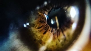 Philosophy of Perception: Perception and Reality