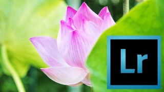 Photography: Lightroom Digital Workflow