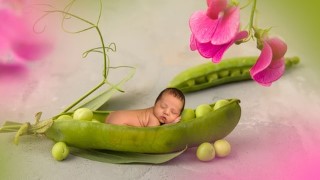 Photoshop Elements 2019 Made Easy Training Tutorial
