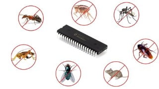 PIC Microcontroller Insect Detector