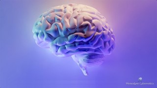 Post-Conventional Critical thinking