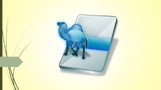 Practical Perl Made Easy