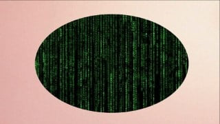 Practical x64 Programming in Assembly : The Console