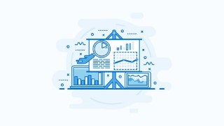 Practitioner in Business Analysis