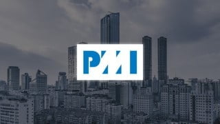 Project Management Professional
