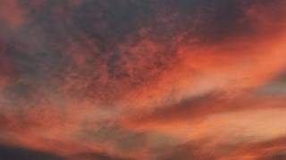 Real Estate Exam-Like Multiple-Choice 120 Questions