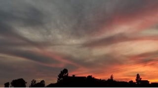 Real Estate Exam-Like Multiple-Choice 300 Questions