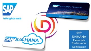 S4 HANA (Finance & Controlling) Certification Exam Questions
