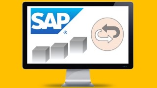 SAP DeepDive - Return SD Order using SAP Best Practice