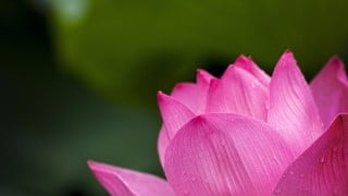 SAP Fiori Simplified: For ABAPers