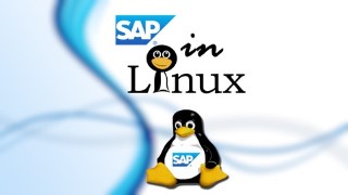 SAP - Installing and Configuring SAP in Linux