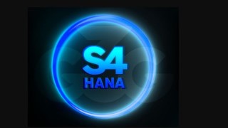 SAP S/4HANA System Conversion: 7 steps Guide