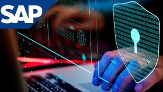 Sap security Course: Basics, roles and Information Security
