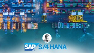 SAP Supply Chain : Shipments and Shipment Costing in R/3