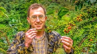 SECRETS of COFFEE. Part 2. BOTANY (Coffee Expert in 4 hours)