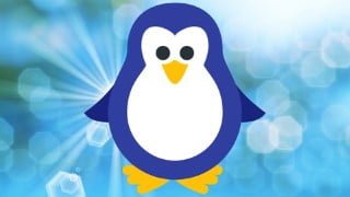 Shell Scripting/Bash Shell Script/AWK/SED on Linux/Unix/Bash
