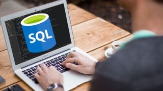 SQL Programming Basics