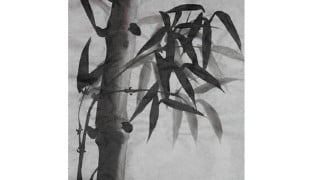 Sumie - Bamboo for beginners -