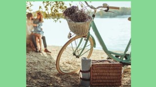 Surviving the Narcissist