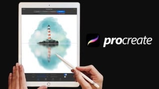 Symmetry Drawing in Procreate