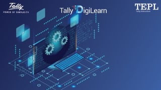 Tally - Data Analysis & Verification Tool