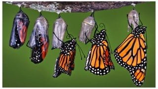 TGIF: Transform Grow Innovate the Finance Function