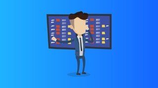 The Agile Certified Practitioner Training Program (PMI-ACP)