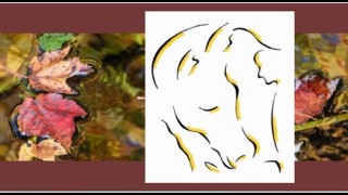 The Art and Science of Conscious Living: Protocol & Process