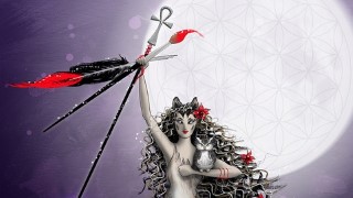 The Art of Manifesting
