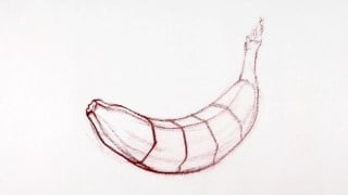 The Art & Science of Drawing / CONTOURS