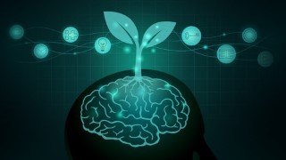 The Complete 8-Week Mindfulness Training-MBCT/MBSR certified