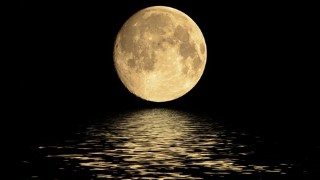The Creator's Meditation / Vipassana Course Online