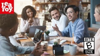 The Customer: Build a Customer Service Strategy (BITE SIZE)