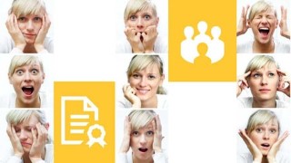 The Developing Emotional Intelligence Program