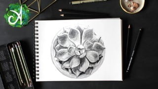 The Drawing Masterclass - Perfect Guide for Very Beginners