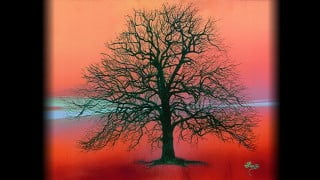 The Joy of Acrylic Painting with Frosty Rankin