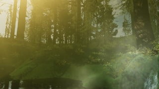 The joy of unity, creating forests