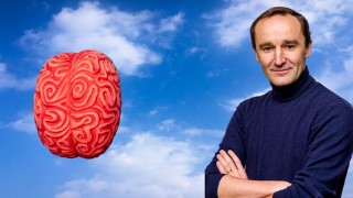 The Neuroscience of Sleep and Dreams