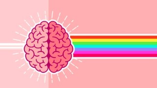 The Ultimate Memory Improvement Training Program 2.0 ®