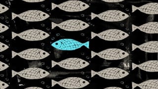 Trading With Divergence